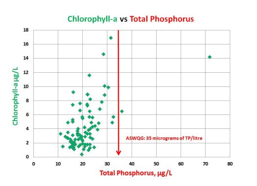 Chlorophyll-a vs TP